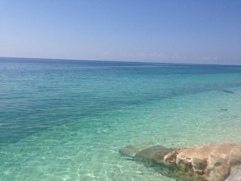 Oslob Garden Stay Beach Resort Eksteriør billede